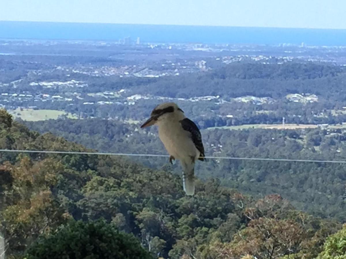 Apartment Beautiful With Breath-taking Views Mt Tamborine Eagle Heights